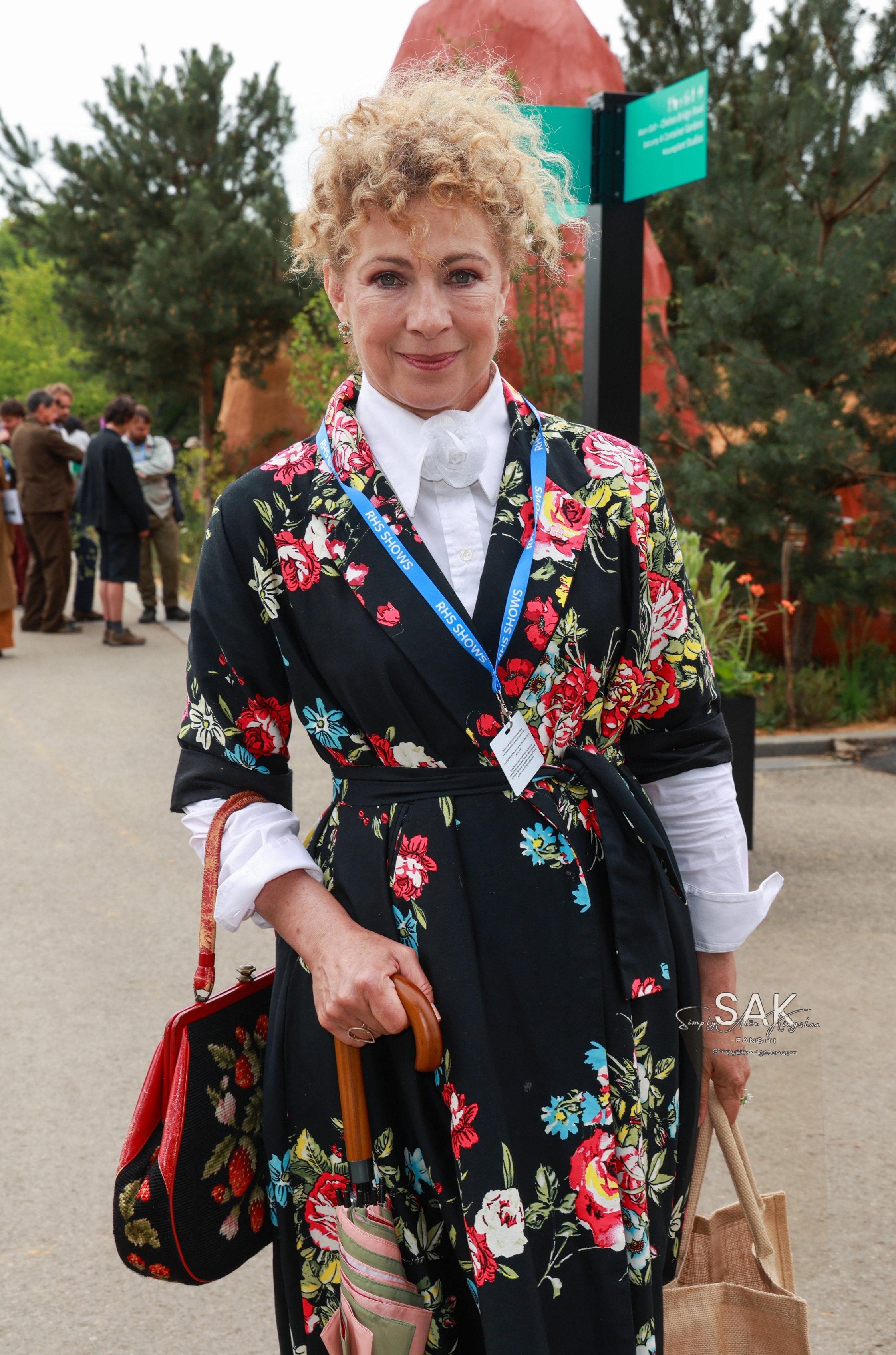 cf_28129.jpg